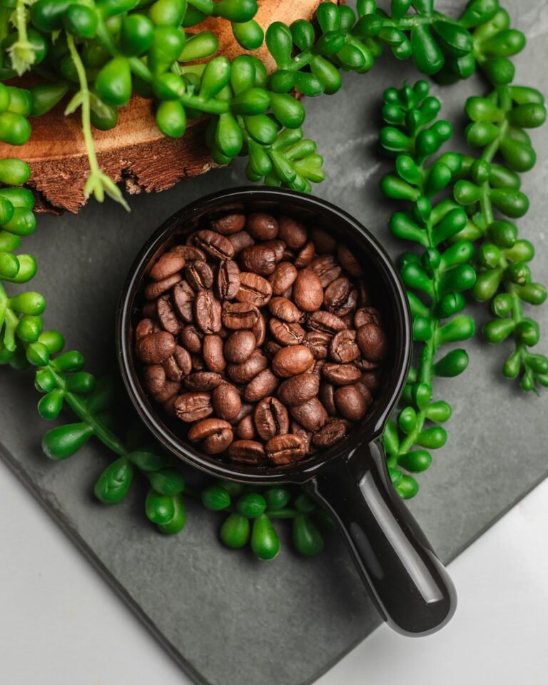 Roasted coffee beans in black bowl surrounded by vibrant green succulents, creating a natural and fresh ambiance.